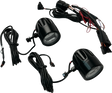 20403248_0.png
