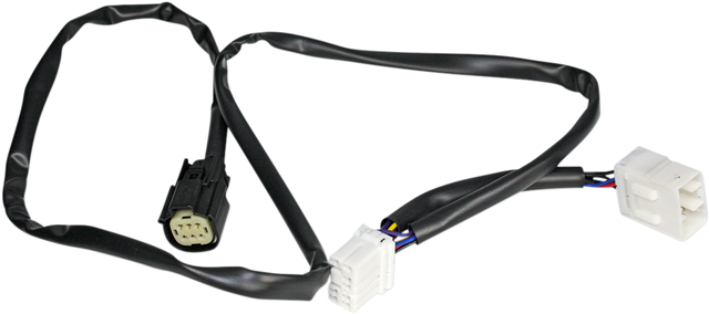 20500384_0.png