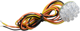 20600258_5.png