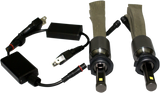 20600561_1.png
