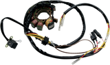 21120487_0.png
