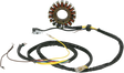 21120678_0.png