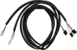 21200883_0.png