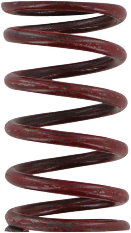 212631_0.png