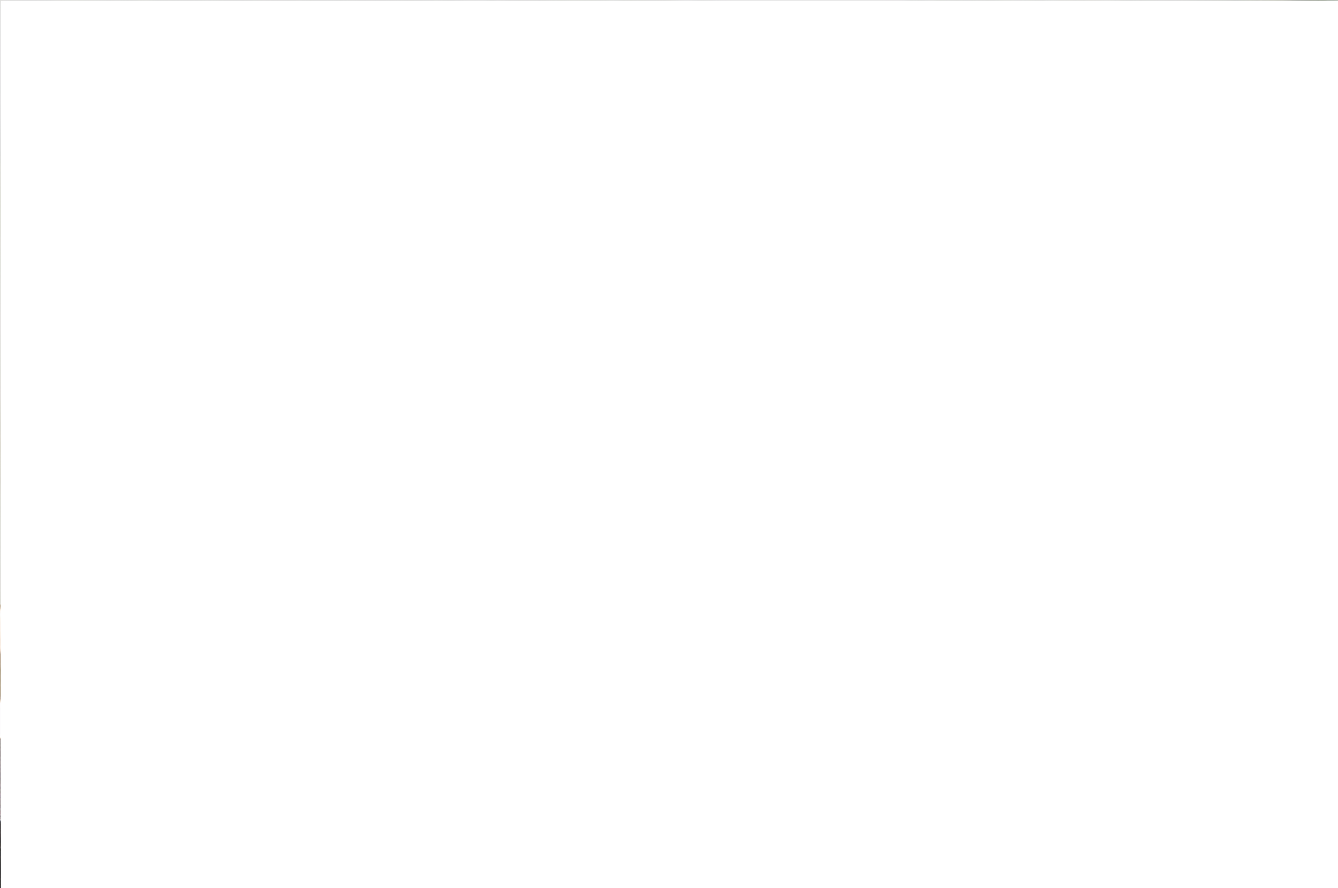 23170480_16.png