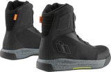 34031257_2.png