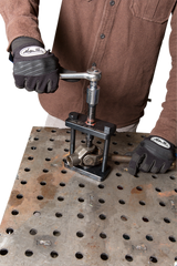 38500446_2.png