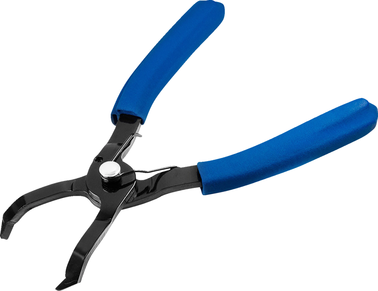38500611_0.png