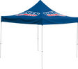 40300058_0.png