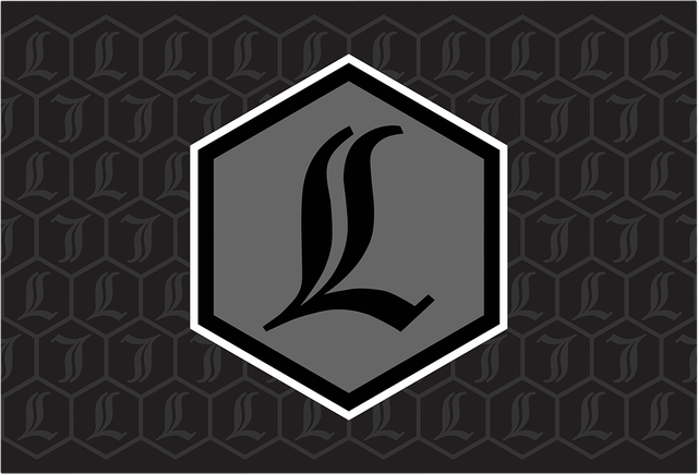 43202403_0.png