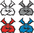 43202528_0.png