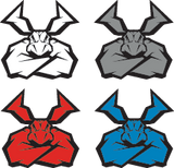 43202528_0.png