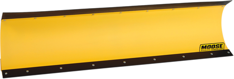 45010756_0.png