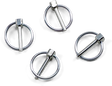 45010848_0.png