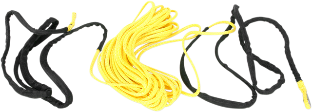 45050618_0.png