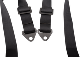 45101243_4.png