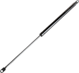 45101634_0.png