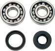 A241008_0.png