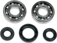 A241028_0.png