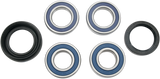 A251036_0.png