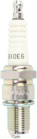 B10EG_0.png