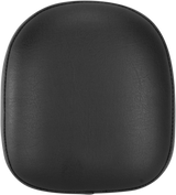 BLV25022_0.png