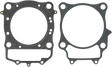 C7681_0.png