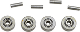 DS194029_0.png