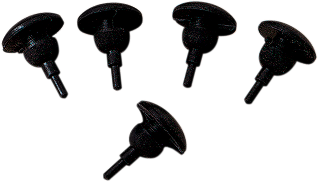 DS240008_0.png