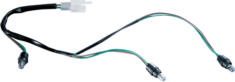 DS280325PK_1.png