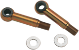 DS310075_0.png