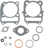M810832_0.png