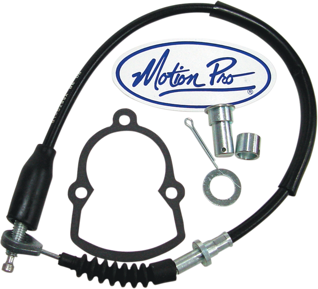 MP010298_0.png