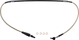 MS011035_0.png