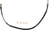 MY012010_0.png
