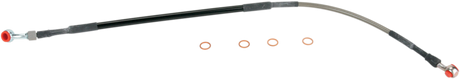 MY012021_0.png