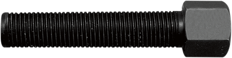 P516_0.png