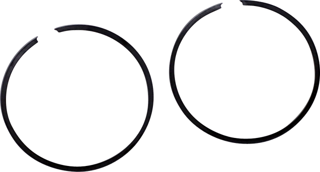 R09695_0.png