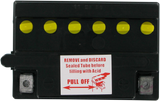 R12N113A1_2.png