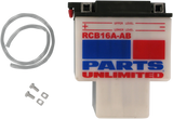 RCB16AAB_1.png