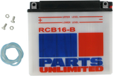 RCB16B_0.png